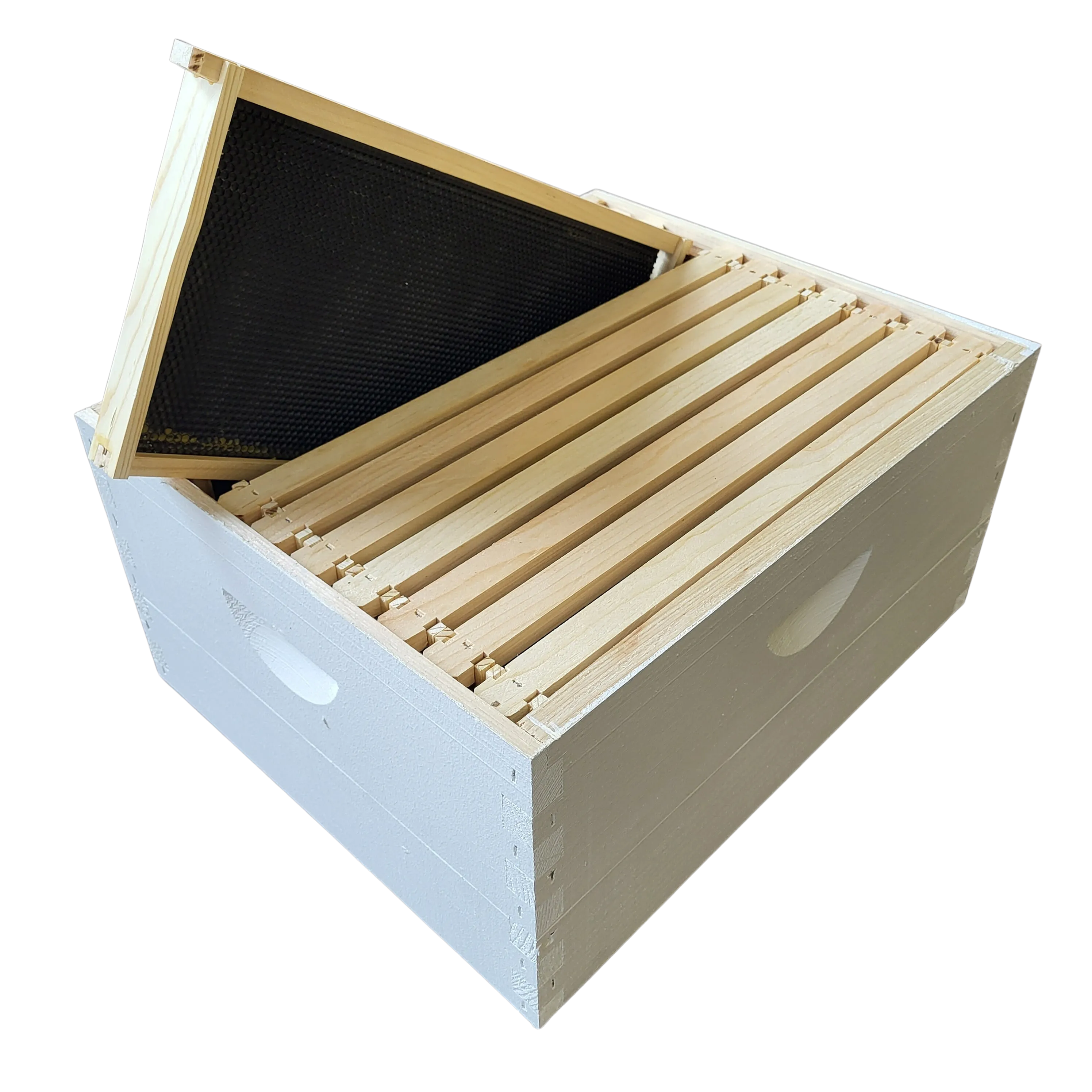 10-Frame Completed, Deep 9 5/8-inch Box with Frames and Foundation