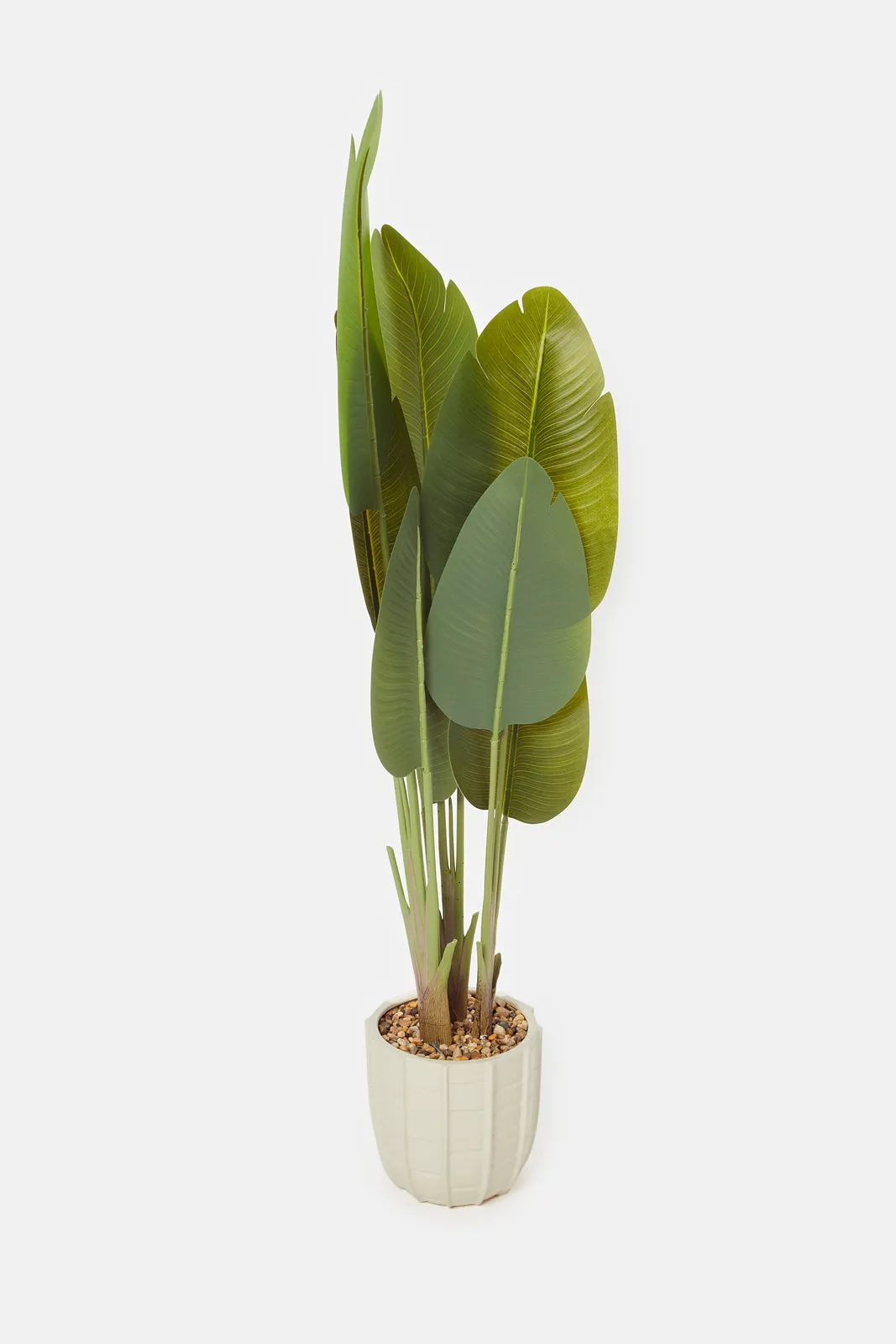 Artificial Green Banana Plant In Ceramic Pot