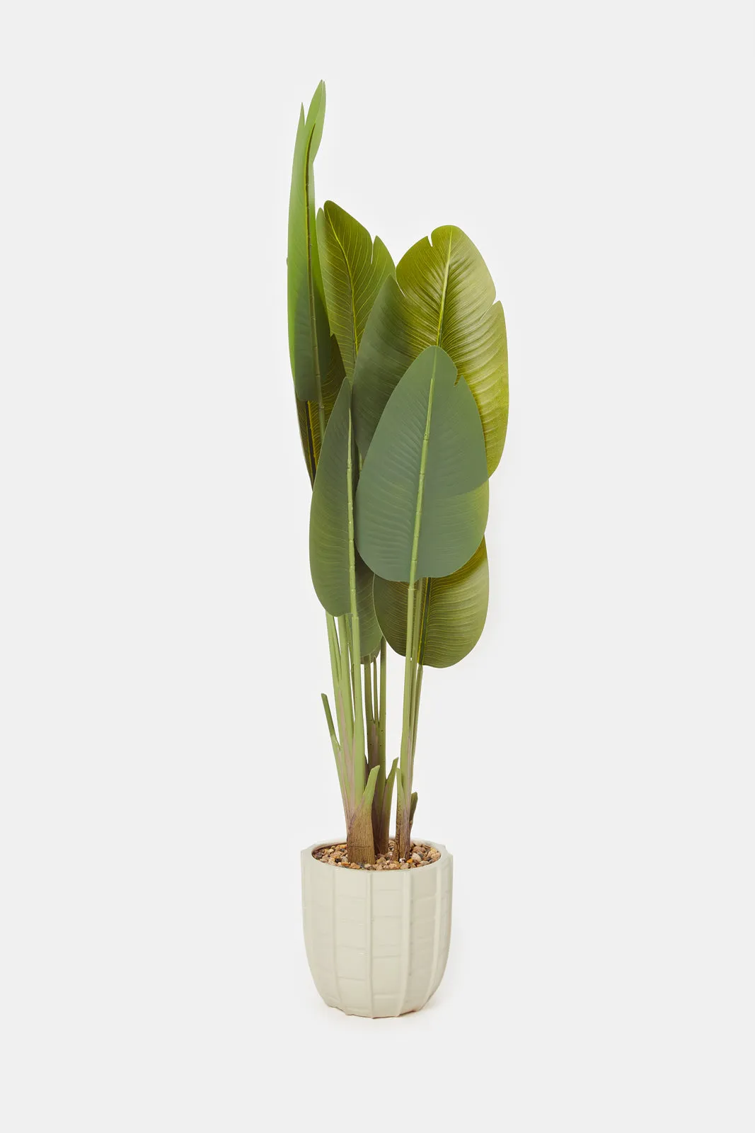 Artificial Green Banana Plant In Ceramic Pot