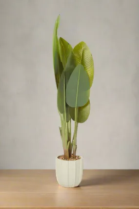 Artificial Green Banana Plant In Ceramic Pot