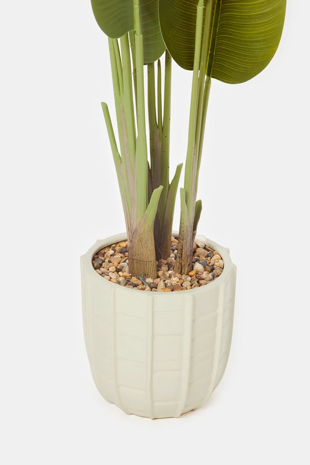 Artificial Green Banana Plant In Ceramic Pot