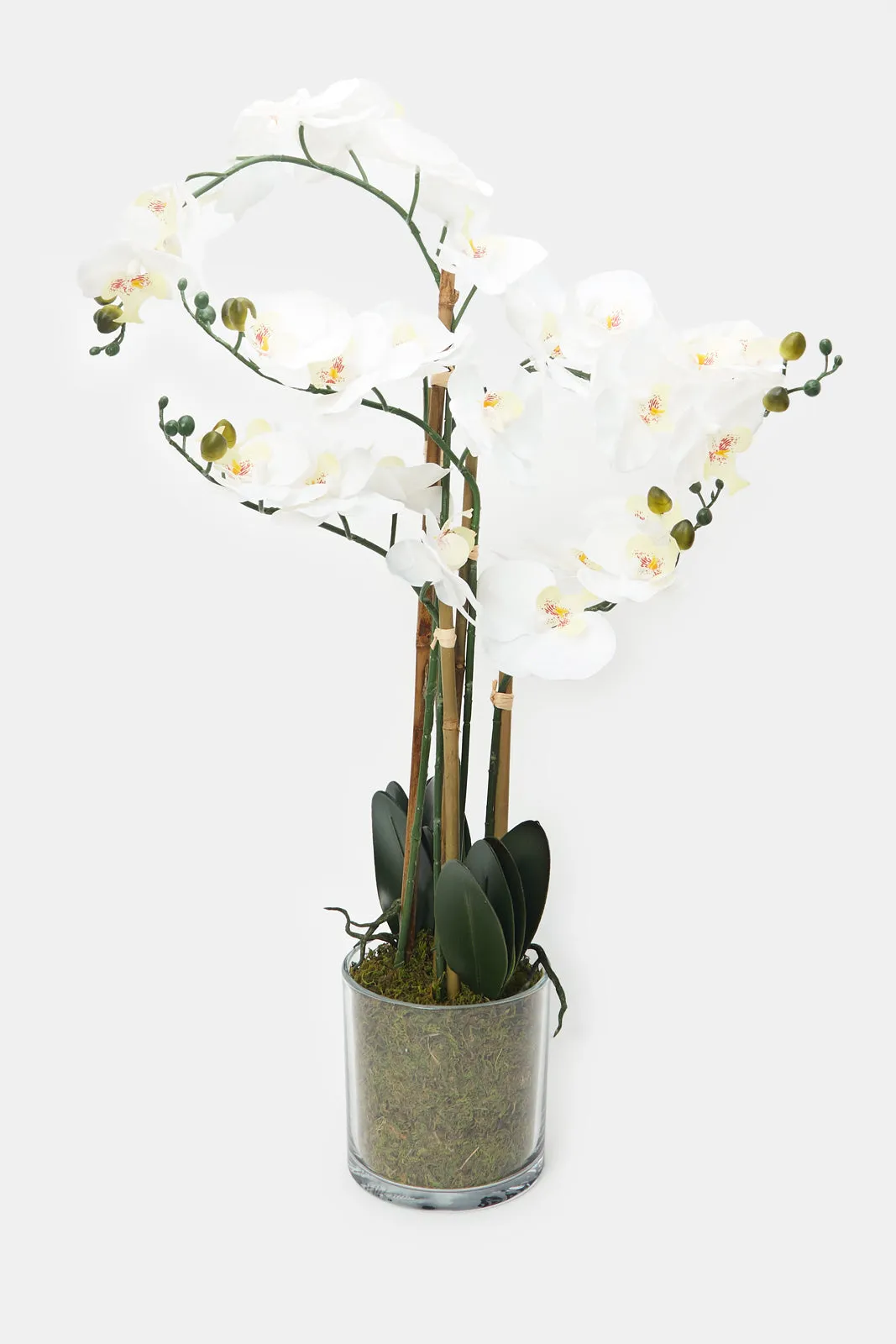 Artificial Orchid Flower In Glass Pot