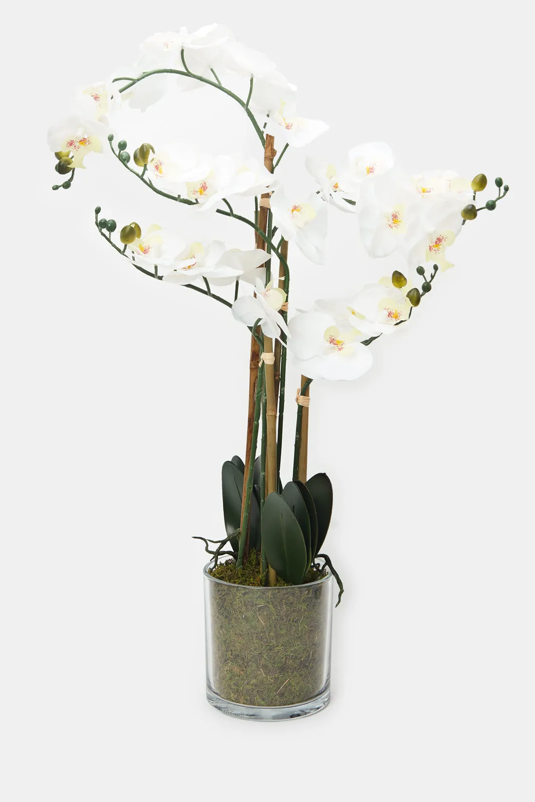 Artificial Orchid Flower In Glass Pot