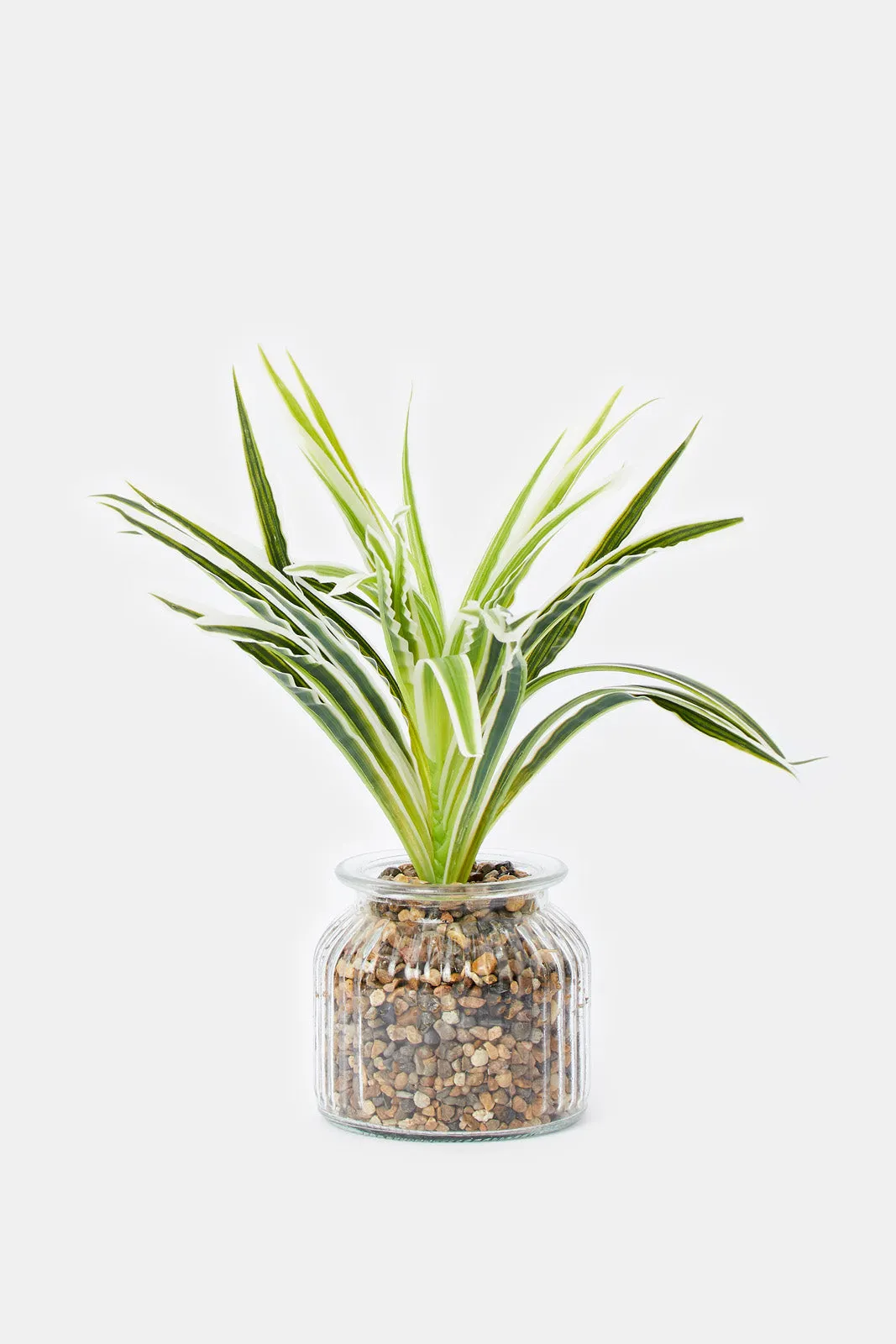 Artificial Plant In Clear Glass Pot