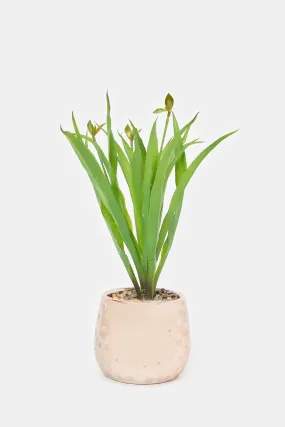 Artificial Plant In Gold Ceramic Embossed Pot