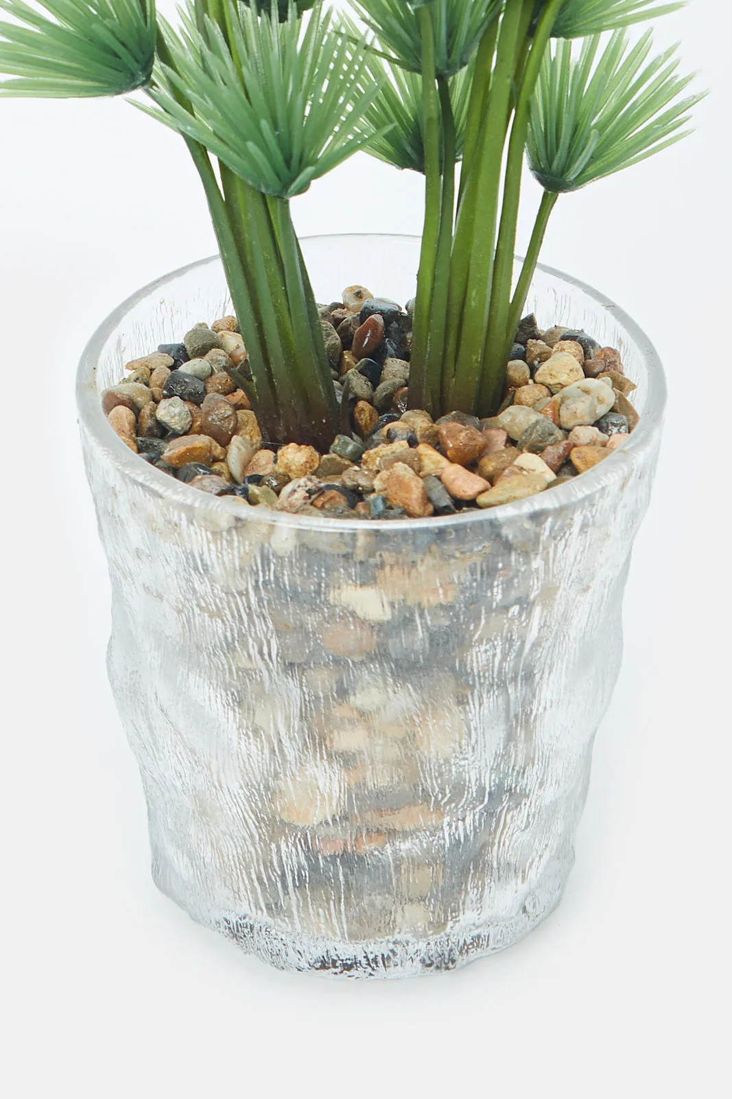 Artificial Succulent Plant With Glass Pot