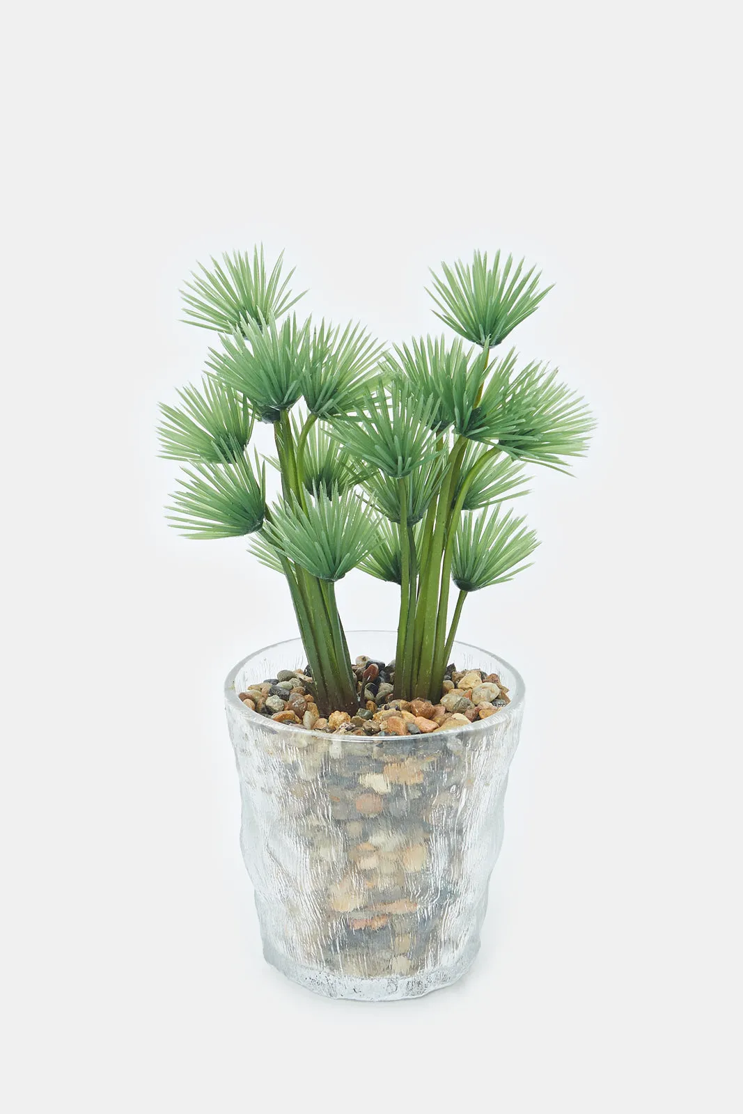 Artificial Succulent Plant With Glass Pot