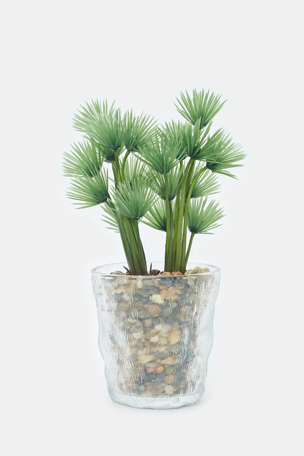 Artificial Succulent Plant With Glass Pot