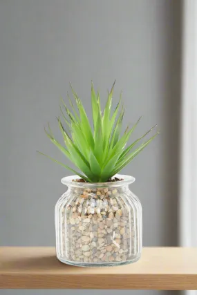 Artificial Suculent Plant In Glass Pot