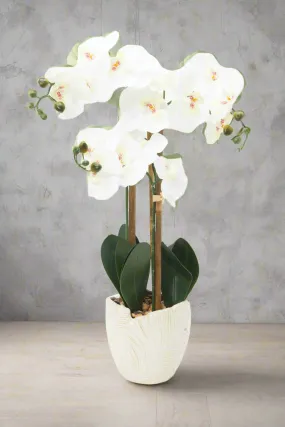 Artificial White Orchid Flower In Ceramic Vase