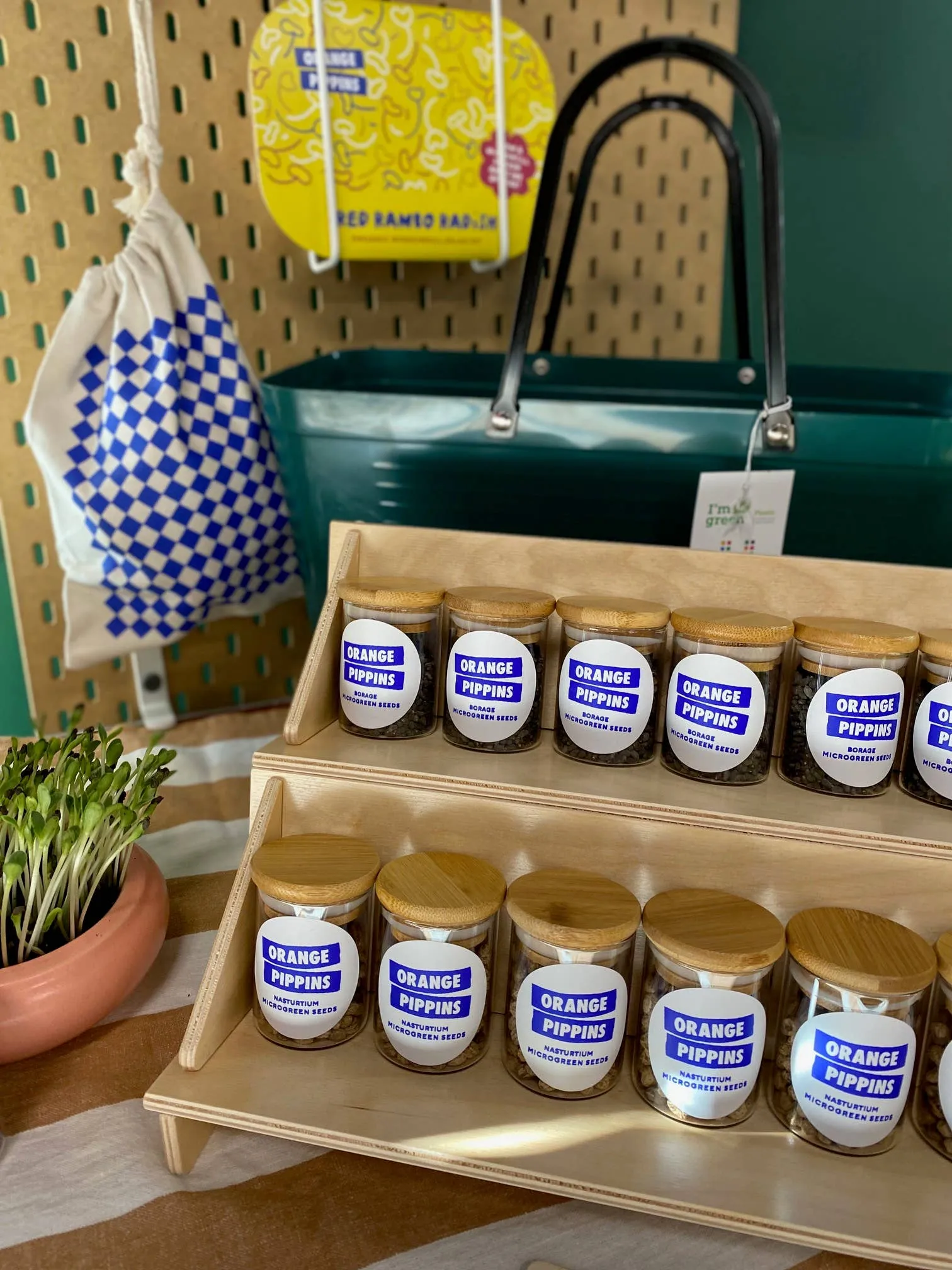 Borage Seeds Microgreen Jar