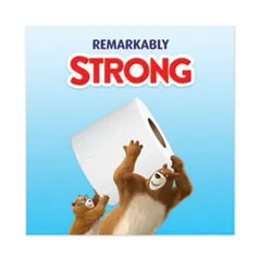 CHARMIN BATH TISSUE STRONG 9CT - CHBTS9CT