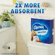 CHARMIN BATH TISSUE STRONG 9CT - CHBTS9CT