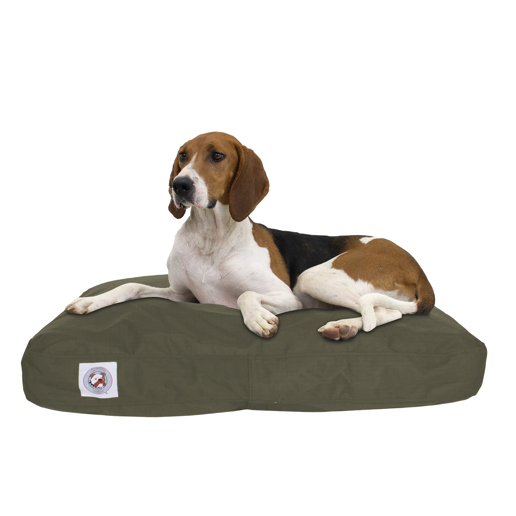 Chew Resistant Napper | Olive