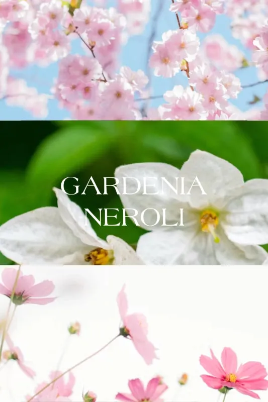 gardenia neroli soy candle