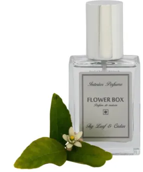 INTERIOR PERFUME - Fig Leaf & Cedar