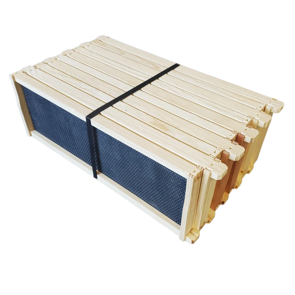 Medium 6 1/4-Inch Frame, Grooved Top / Grooved Bottom With Double Wax Foundation