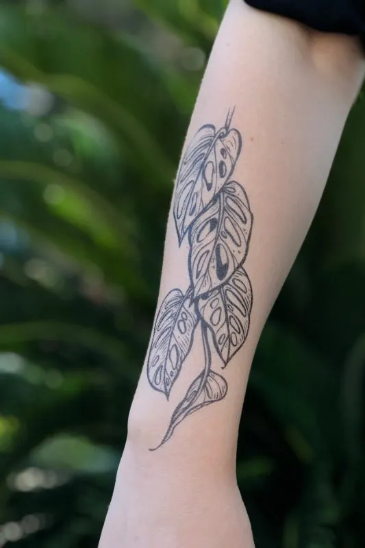 monstera vine temporary tattoo