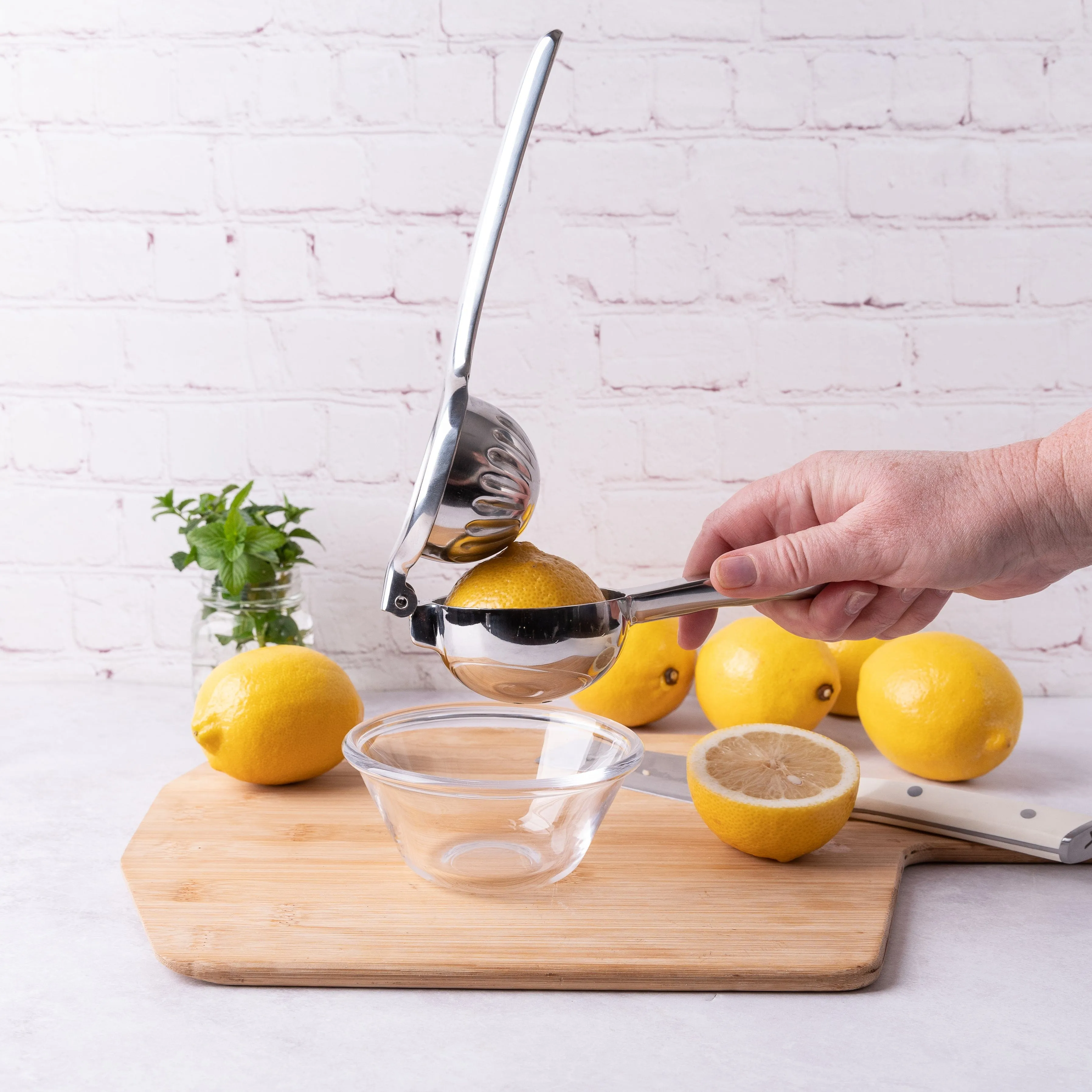 Stainless Steel Lemon Lime Squeezer