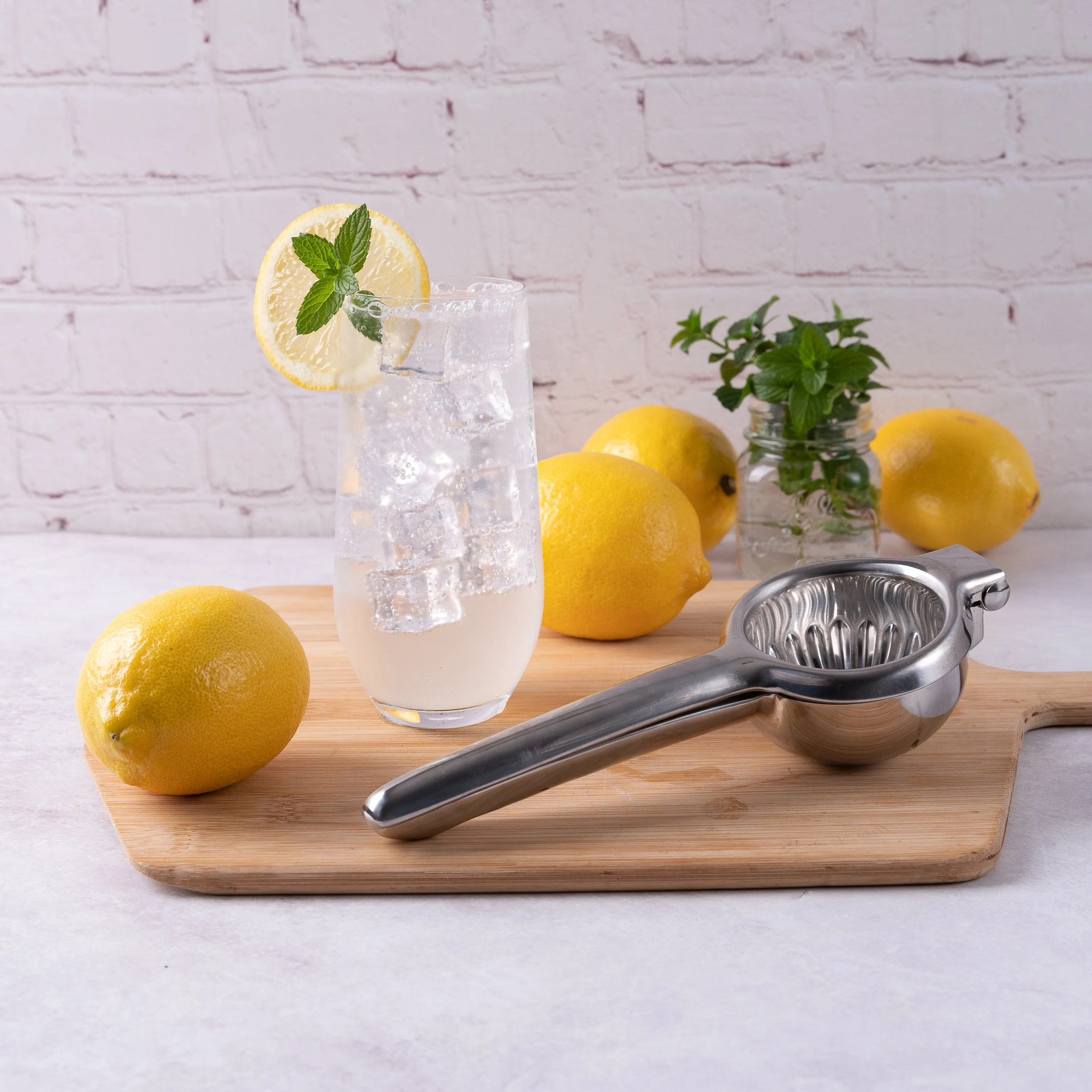 Stainless Steel Lemon Lime Squeezer