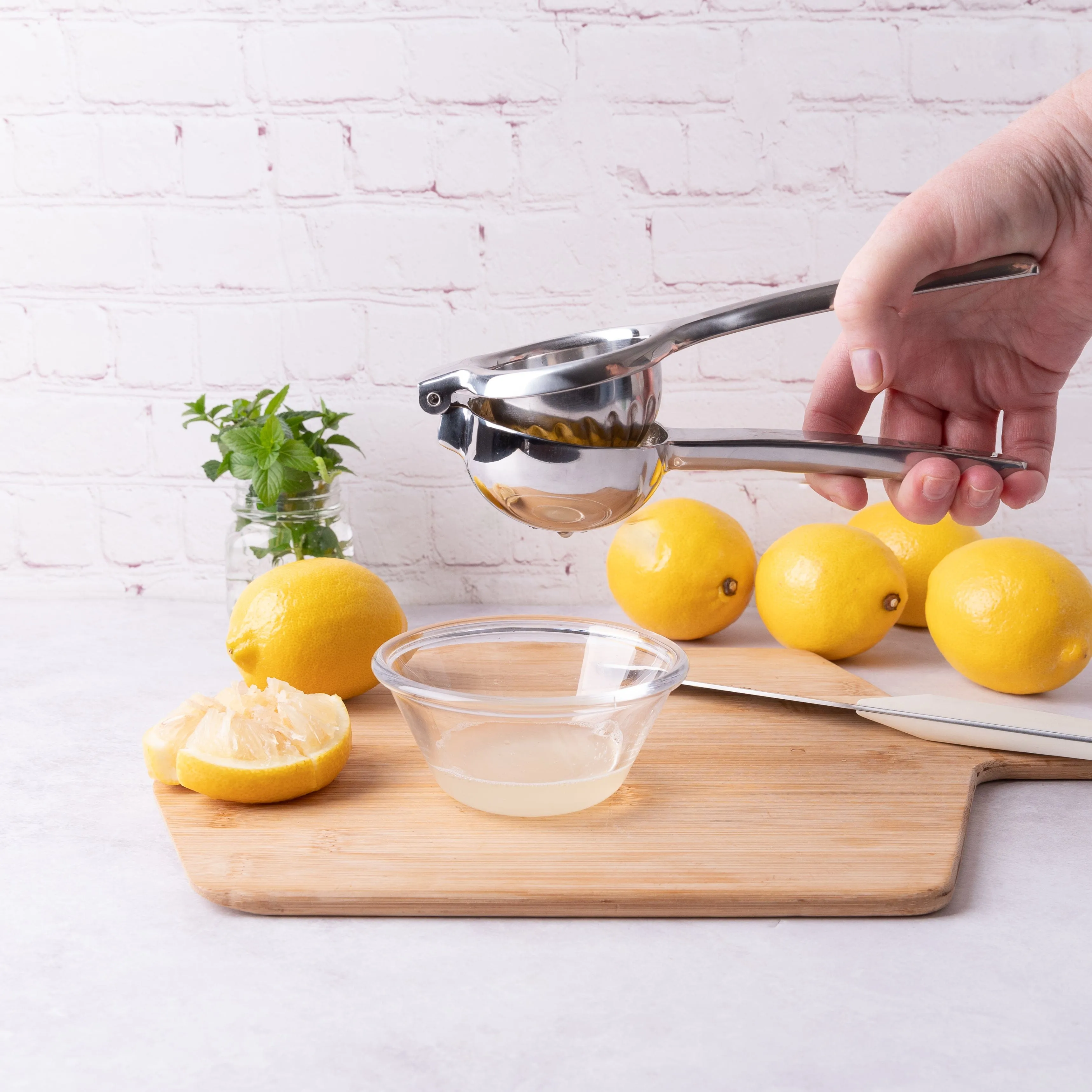 Stainless Steel Lemon Lime Squeezer