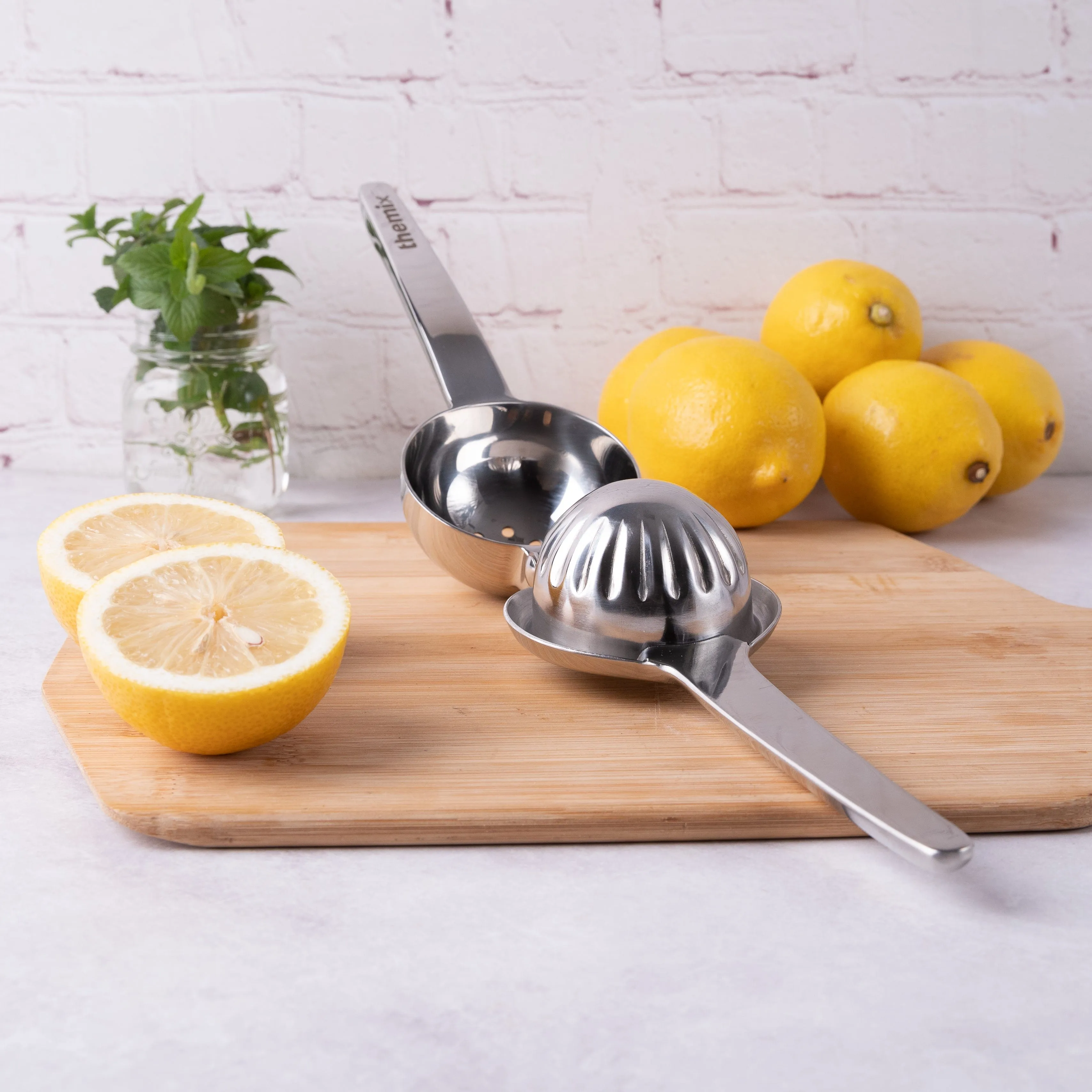 Stainless Steel Lemon Lime Squeezer