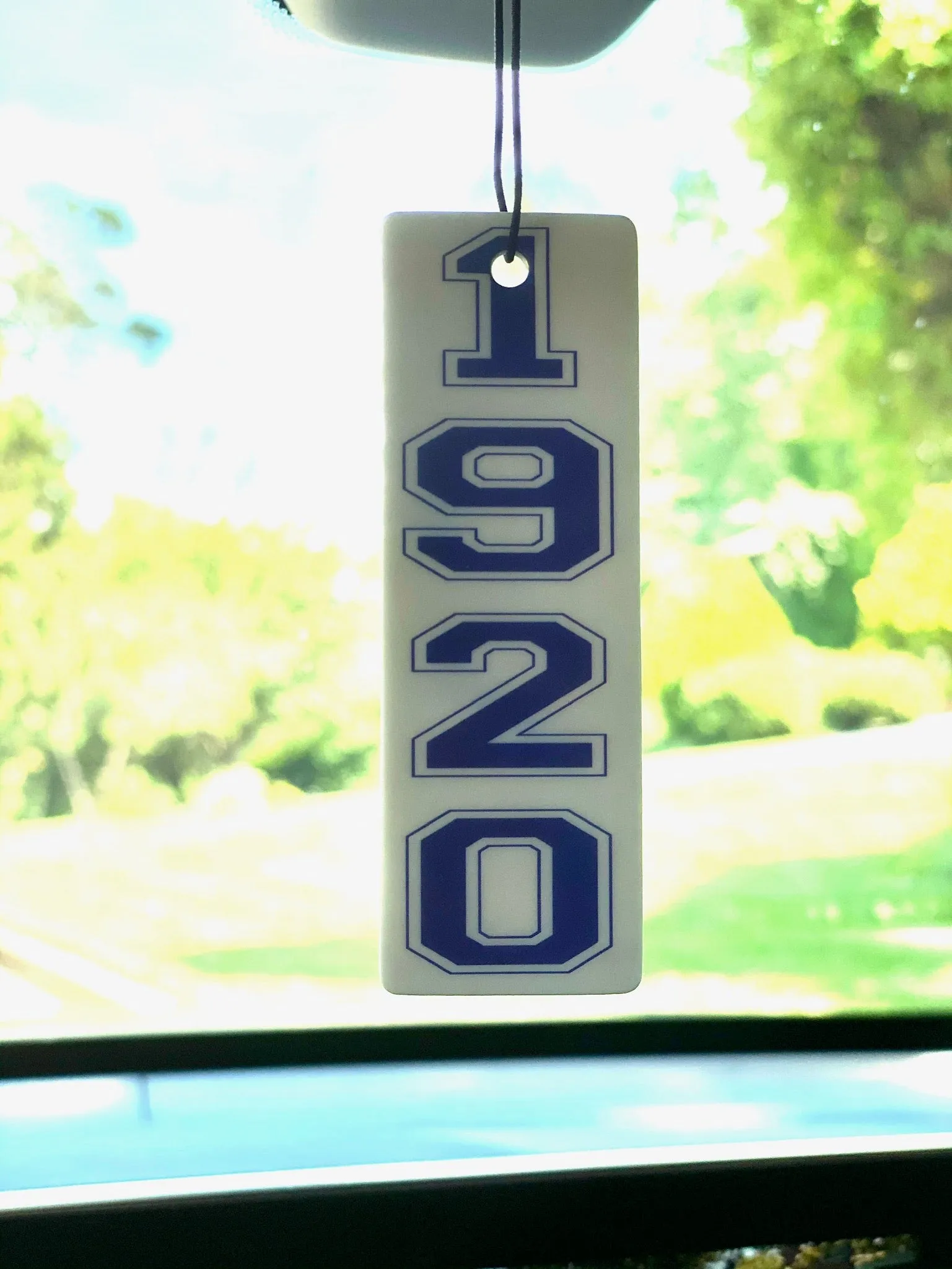 Zeta Car Air Fresheners